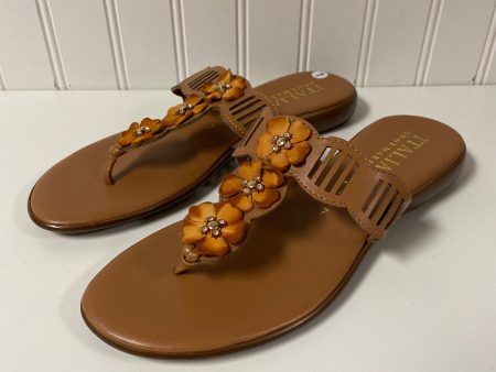 Sandals Flip Flops By Italian Shoemakers In Brown, Size: 7 Online