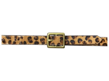 Belt By Clothes Mentor, Size: Large Online now