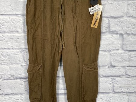 Pants Cargo & Utility By Johnny Was In Green, Size: 2 Supply