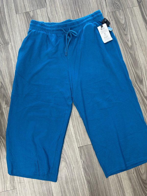 Athletic Pants By Terra & Sky In Blue, Size: Xl on Sale