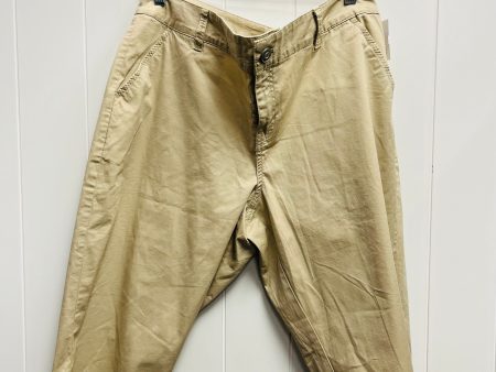 Capris By Lane Bryant In Tan, Size: 16 on Sale