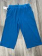 Athletic Pants By Terra & Sky In Blue, Size: Xl on Sale