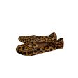 Shoes Flats By Antonio Melani In Animal Print, Size:6.5 For Discount