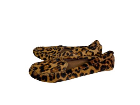 Shoes Flats By Antonio Melani In Animal Print, Size:6.5 For Discount