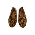 Shoes Flats By Antonio Melani In Animal Print, Size:6.5 For Discount